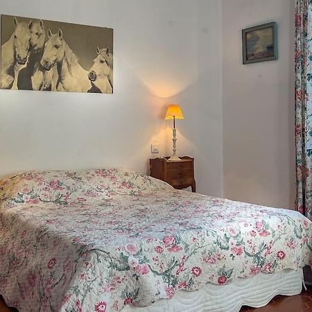 Vila Mas De Charme En Pleine Camargue Saint-Gilles  Exteriér fotografie