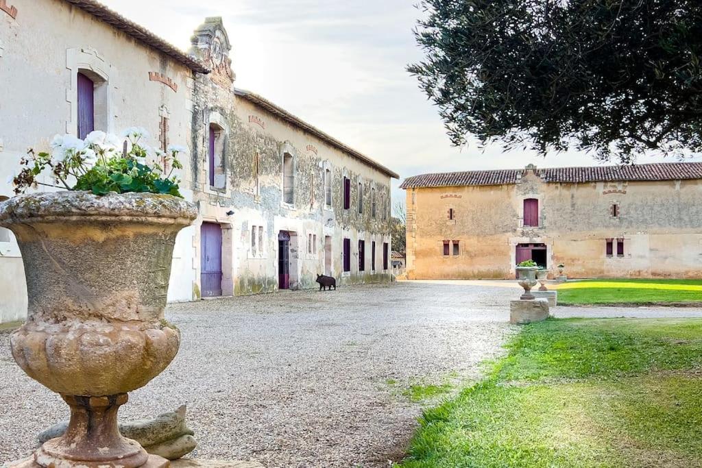Vila Mas De Charme En Pleine Camargue Saint-Gilles  Exteriér fotografie
